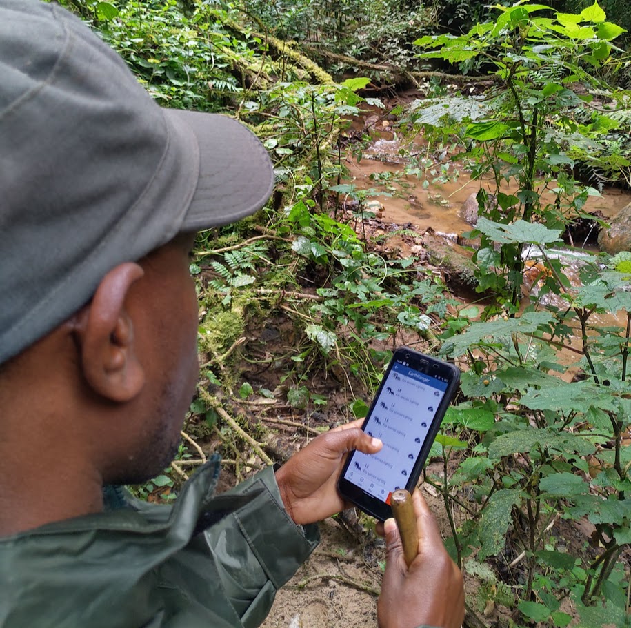 nyungwe er 2